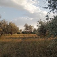 Осень :: Андрей Хлопонин Осень :: Андрей Хлопонин