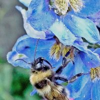 Не подходи! Опасно... :: Валентина Нефёдова Не подходи! Опасно... :: Валентина Нефёдова