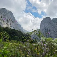 КАВКАЗСКИЙ ЗАПОВЕДНИК. ФИШТ