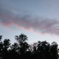Небо августа