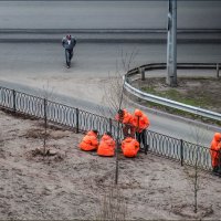 Консилиум