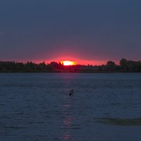 Раннее утро на Оке :: Сергей Цветков Раннее утро на Оке :: Сергей Цветков