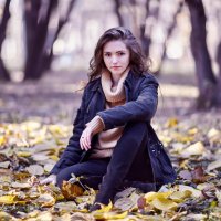 из альбома "Логика листьев".