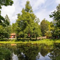 Зеркало воды
