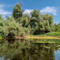 Природный парк Волго-Ахтубинская пойма.