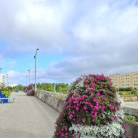 Цветы на мосту