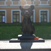 Серия Барсы, Псков