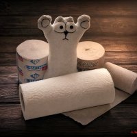 День рождения туалетной бумаги! :-)