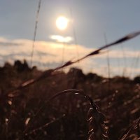 . life :: Андрей 