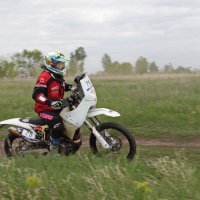 про ралли - рейды - 4