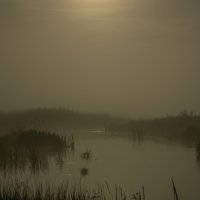 Под золотым сиянием луны