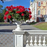 В саду Екатерины