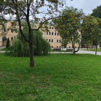 В городе Тула