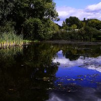Небо вверху и внизу. :: Василий Палий Небо вверху и внизу. :: Василий Палий