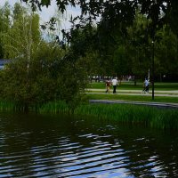 Конец августа. :: Василий Палий Конец августа. :: Василий Палий
