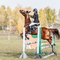 Конкур