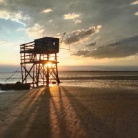 Креветочник на берегу Атлантического океана (2)