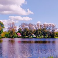 летний день