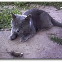 Притворщики. :: Елизавета Мур - Леонова