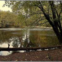 Скоро осень