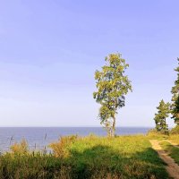 Прибрежный пейзаж в конце августа . :: Мила Бовкун