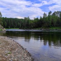 Прителецкая тайга . Бия :: Татьяна Лютаева