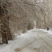 ледяной день :: Елена Шаламова
