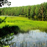Природа