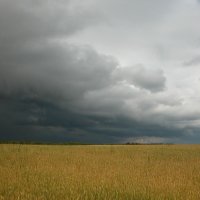 Придавила ...