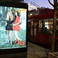 Вечером в Белграде