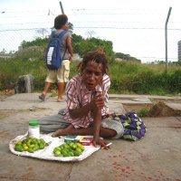 - Слушай, а ты знаешь что касатки едят медведей как мелюзгу? Они просто набрасываются стаей! :: unix (Илья Утропов) - Слушай, а ты знаешь что касатки едят медведей как мелюзгу? Они просто набрасываются стаей! :: unix (Илья Утропов)