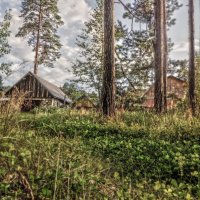 Дорога в посёлок