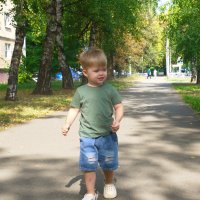 Мирошка на прогулке.