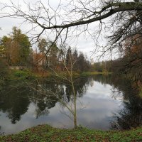 Осень в Марфино :: Евгений Седов Осень в Марфино :: Евгений Седов