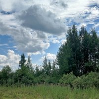 Парк Пулковской обсерватории