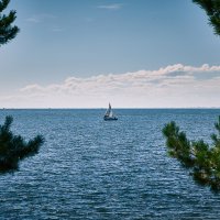 Лето, солнце, парус. :: Леонид Демидов