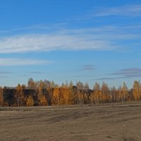 Осенние мотивы