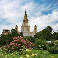 В ботаническом саду