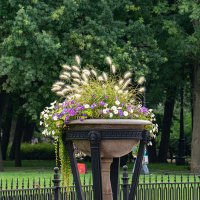 Петербургские пейзажи