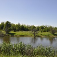 Местная река.