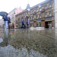 5 сентября, небольшой дождь :: Михаил Бибичков