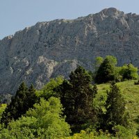 МАЛЕНЬКАЯ ПРОГУЛКА.