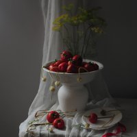 Сеньоры-помидоры.