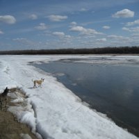 Весна