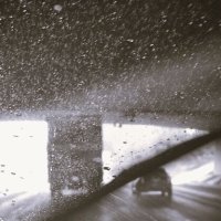 Driving  Under the Rain :: Karlina *** (Елена К)
