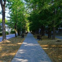 Феодосия. Гледичия на аллее улицы Вити Коробкова.