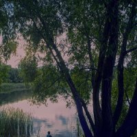 Повседневная жизнь