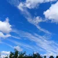 небесные существа :: Владимир 