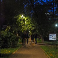 Прогулки в Вечернем Парке :: юрий поляков
