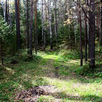 осень